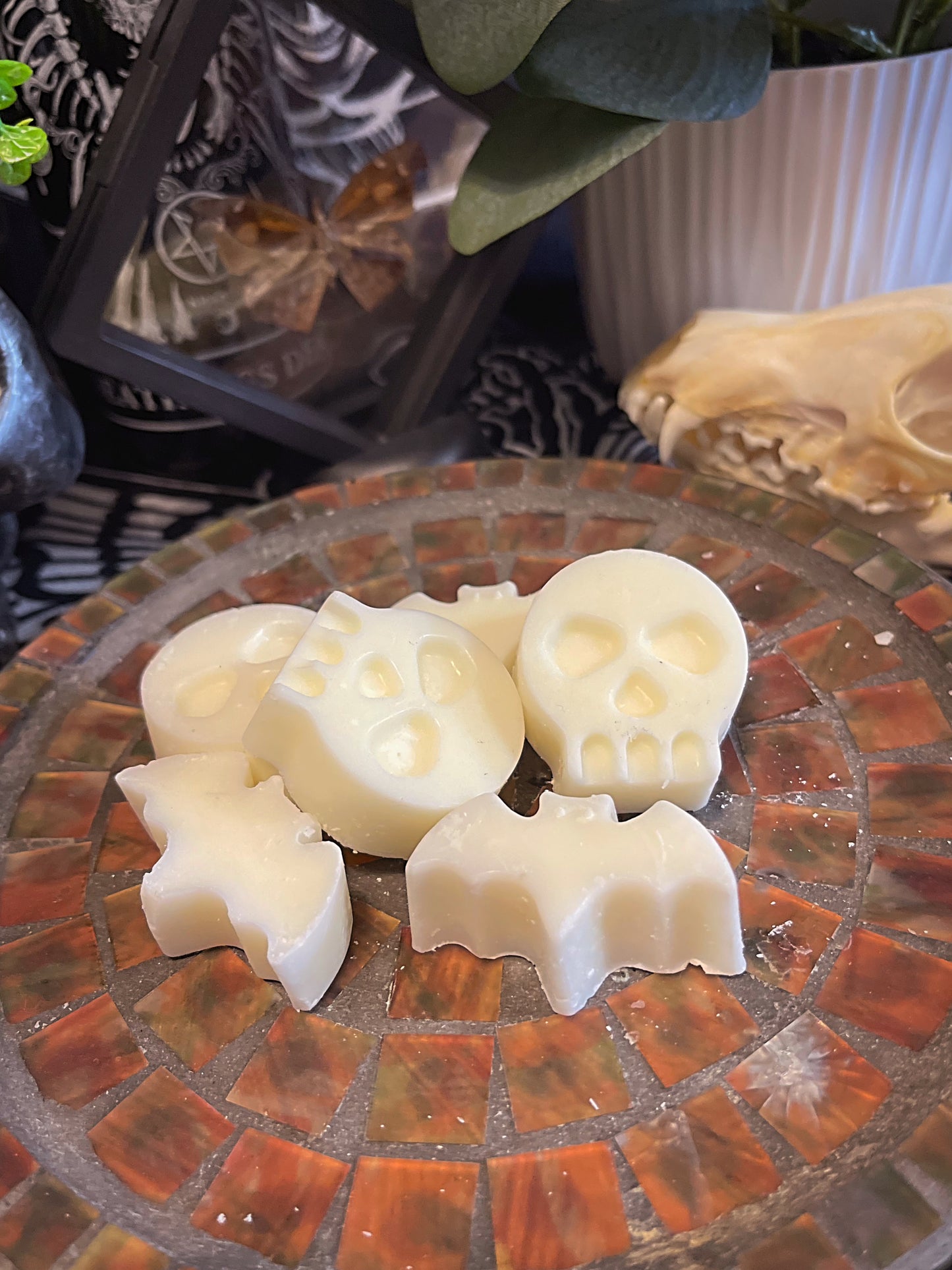 Wax Melts (6 pack)